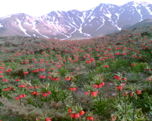 Khonsar-scenary